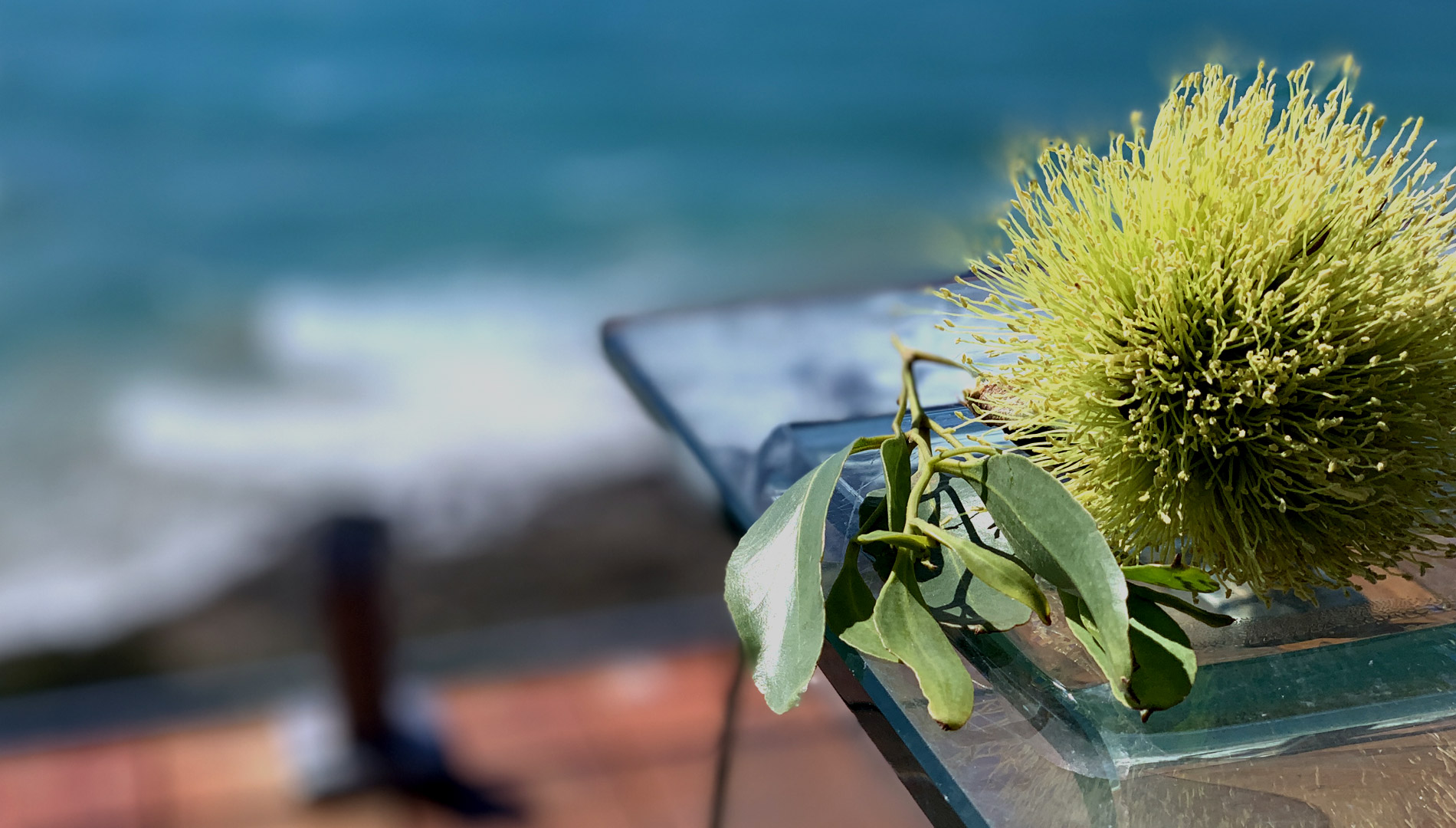 The Deck House, Wye River, Great Ocean Road